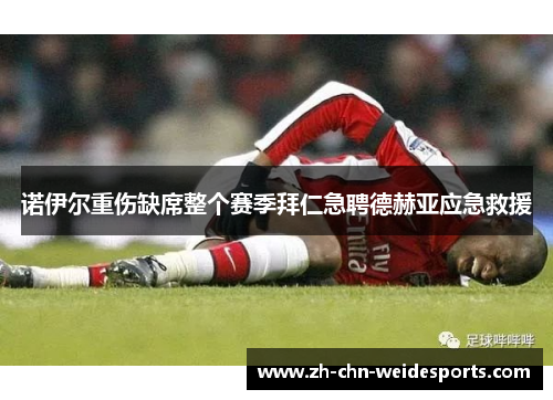 诺伊尔重伤缺席整个赛季拜仁急聘德赫亚应急救援