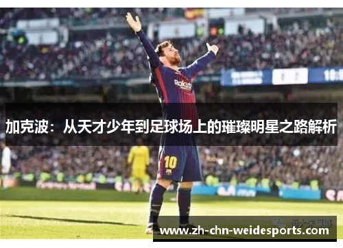 加克波：从天才少年到足球场上的璀璨明星之路解析